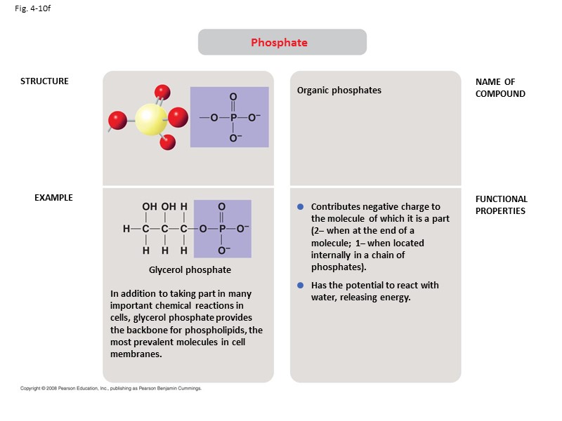 Fig. 4-10f STRUCTURE EXAMPLE NAME OF COMPOUND FUNCTIONAL PROPERTIES Phosphate In addition to taking